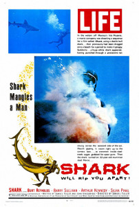 shark_1