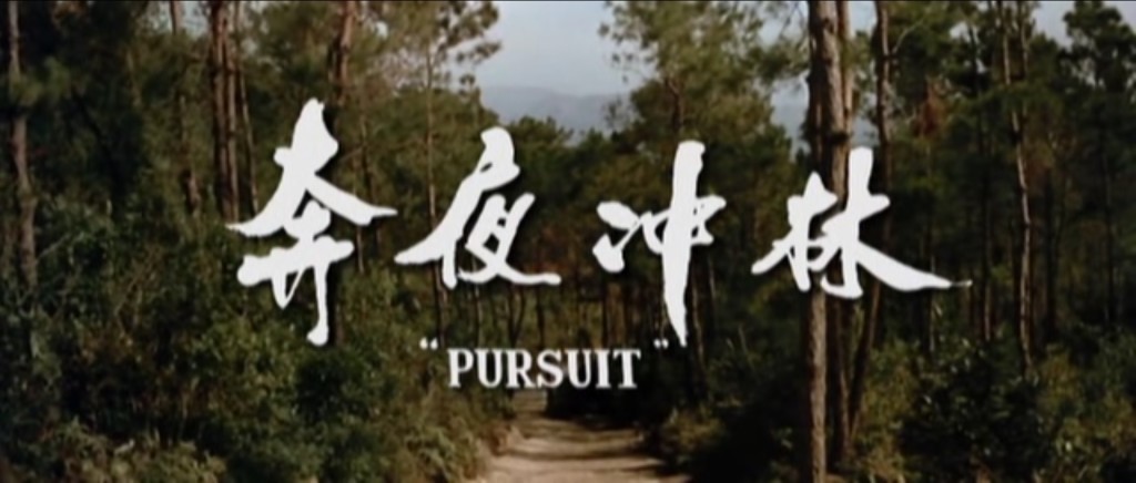 pursuit
